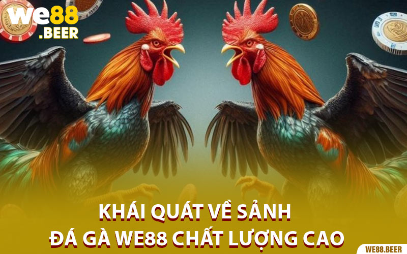 Khái quát về sảnh Đá gà We88 chất lượng cao
