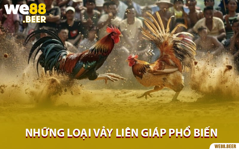 Những loại vảy liên giáp phổ biến ở các chiến kê dũng mãnh nhất